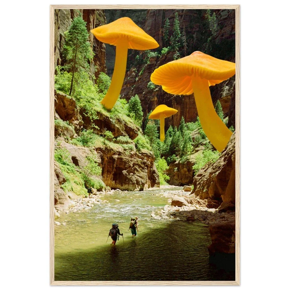 tmp-345-ZtxO1UXb8lqP