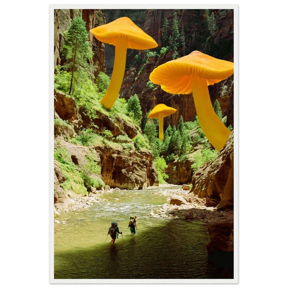 tmp-345-aeudQxreLp9B