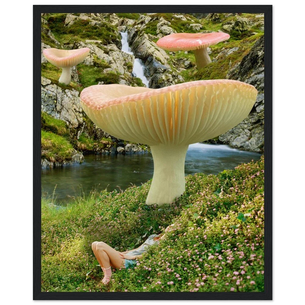 tmp-359-EE3O11YLjMz6