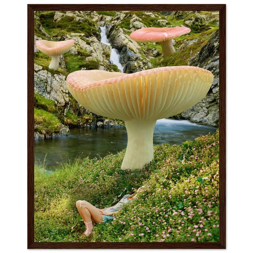 tmp-359-nhSegOBsyjiU