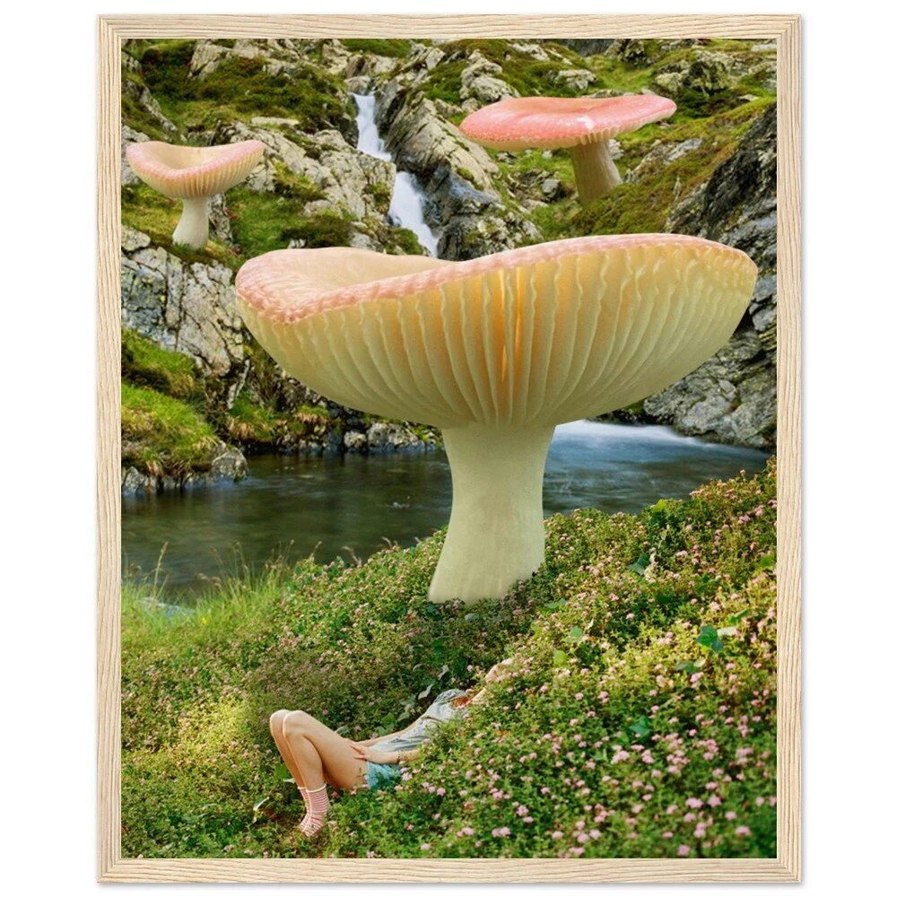 tmp-359-tKuMpH6BqyH6