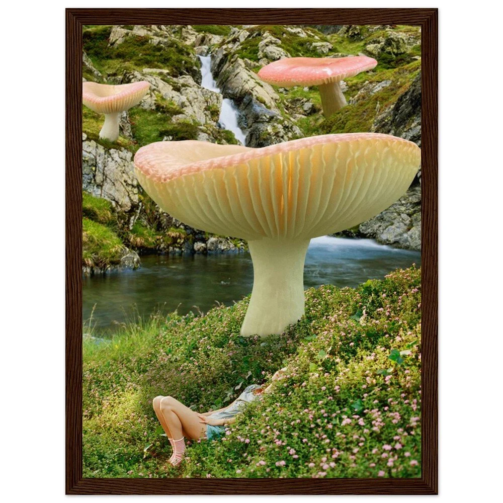 tmp-325-aXVjlHgRsinF