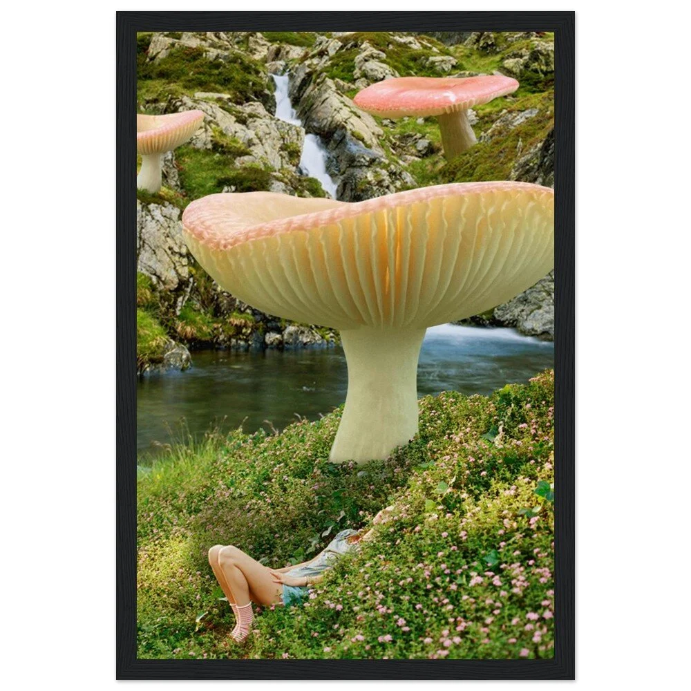 tmp-325-gi87p4JuSDP0