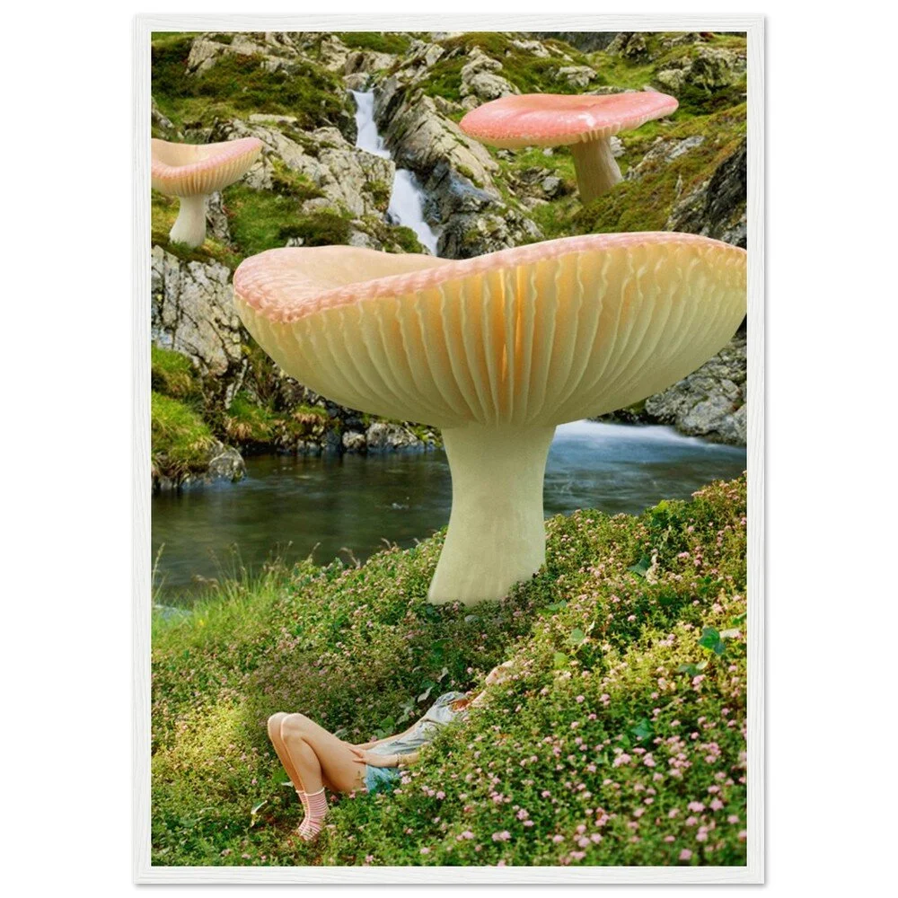 tmp-359-tODg0BQOqgty