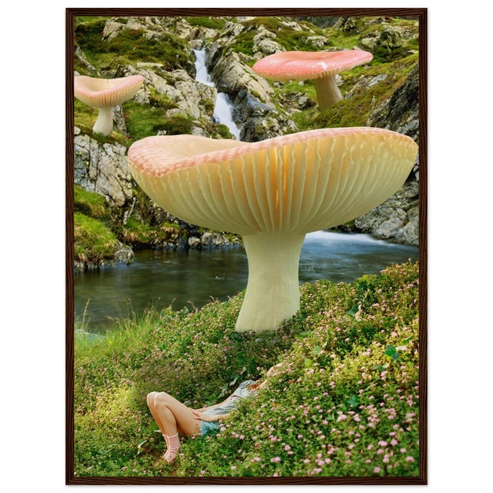 tmp-359-XF5A95wufNKX