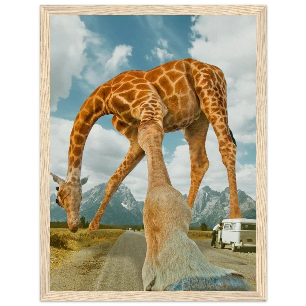 tmp-340-jXtU4OLHuDHL