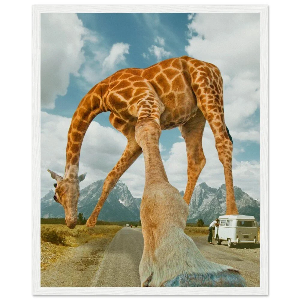 tmp-340-MYq2wW94wUro