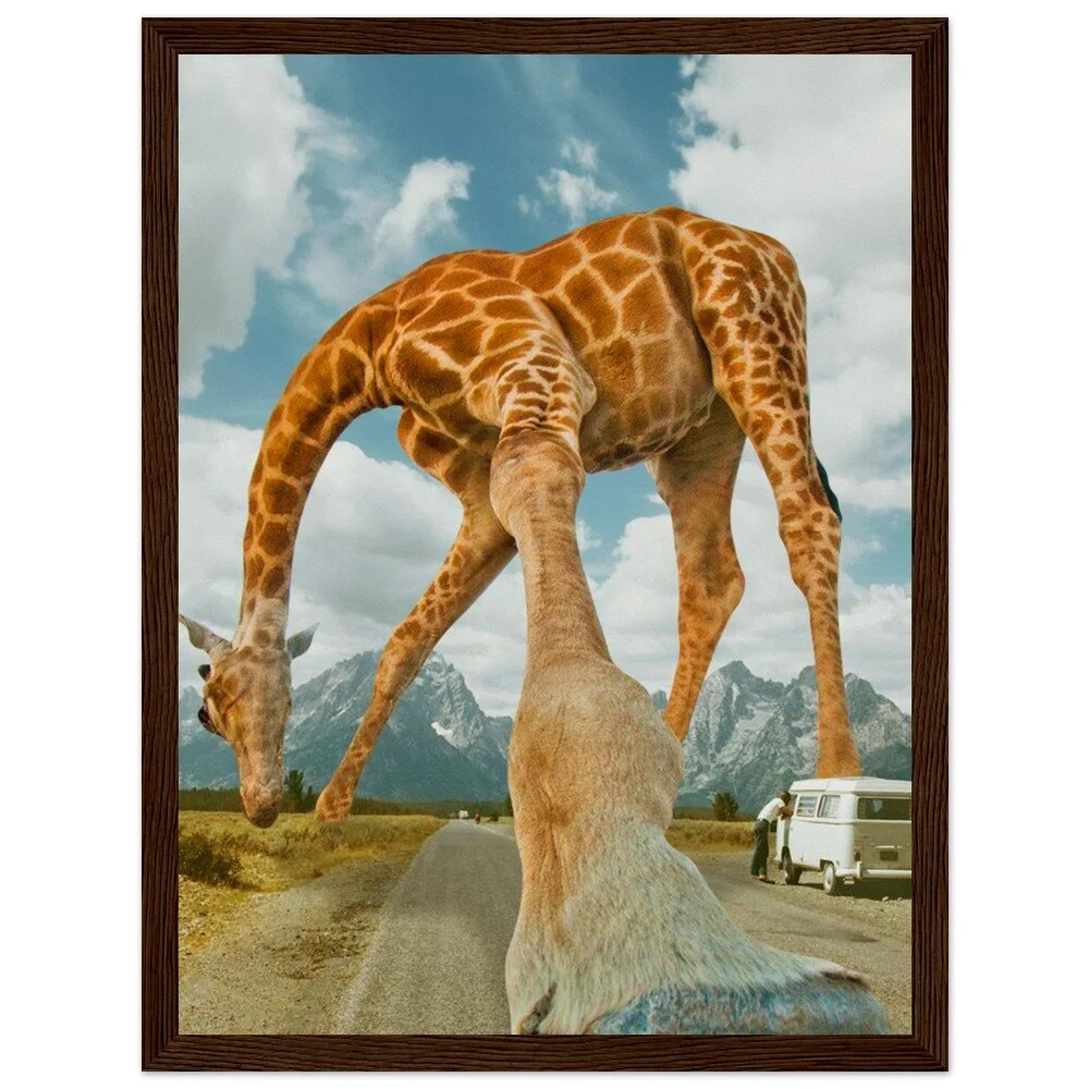 tmp-328-8wUmo8y2bhd9