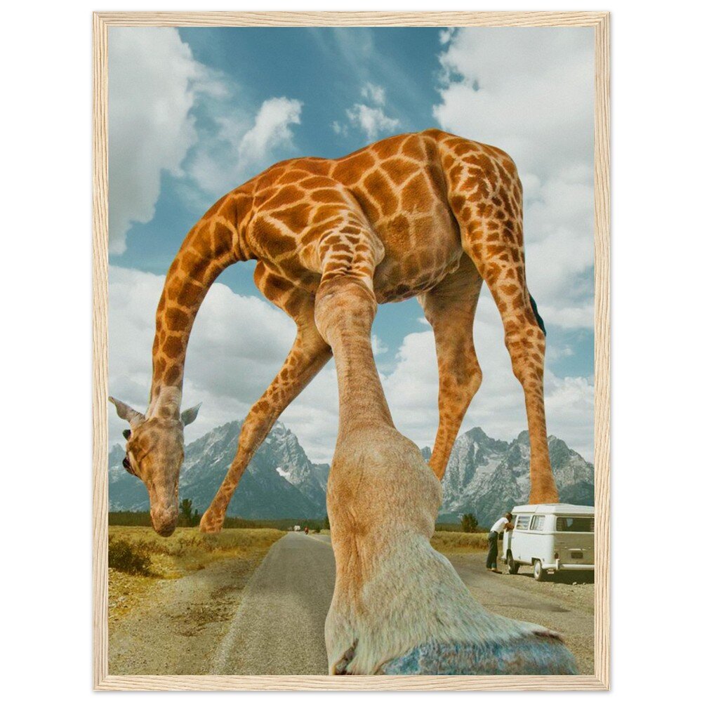 tmp-340-74I0yyJlkDqR