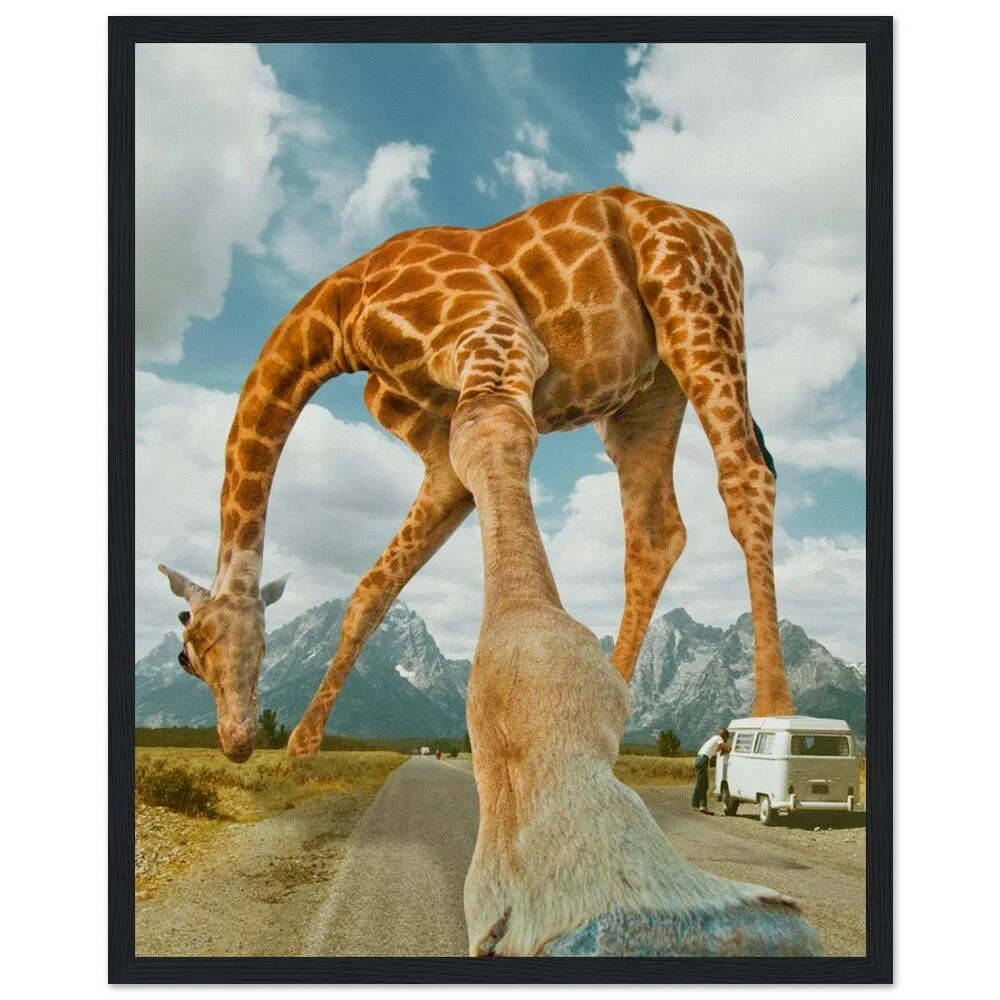 tmp-328-OAhg9PYrHEMa