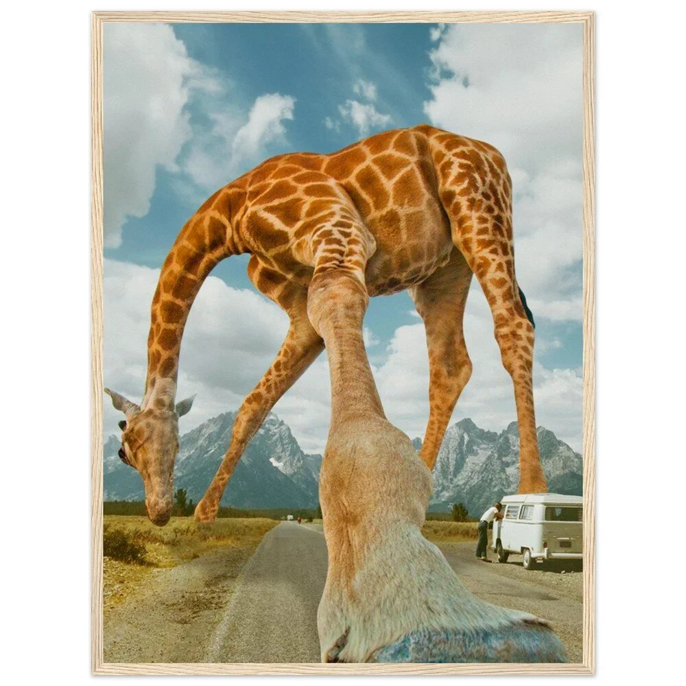 tmp-340-OIj7XFTNmYp7