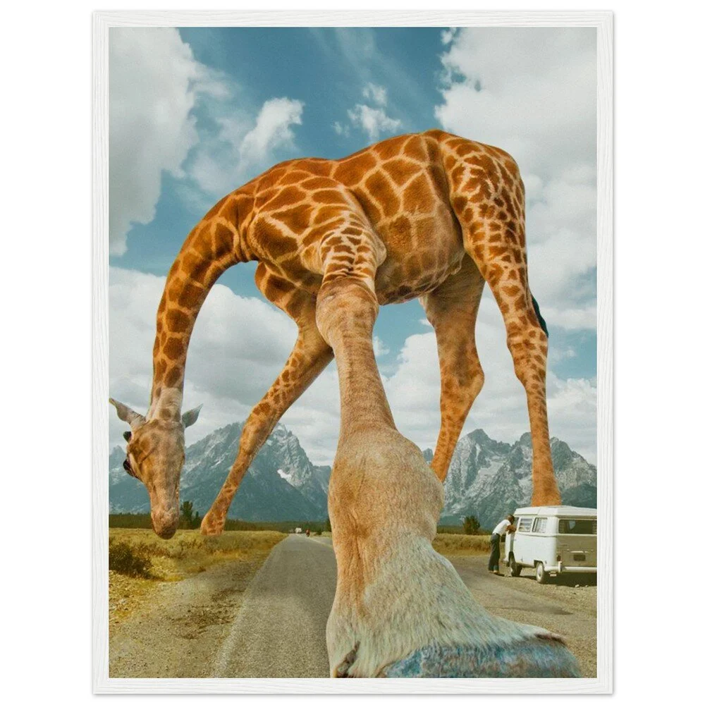 tmp-328-NAYHSY21k8NG