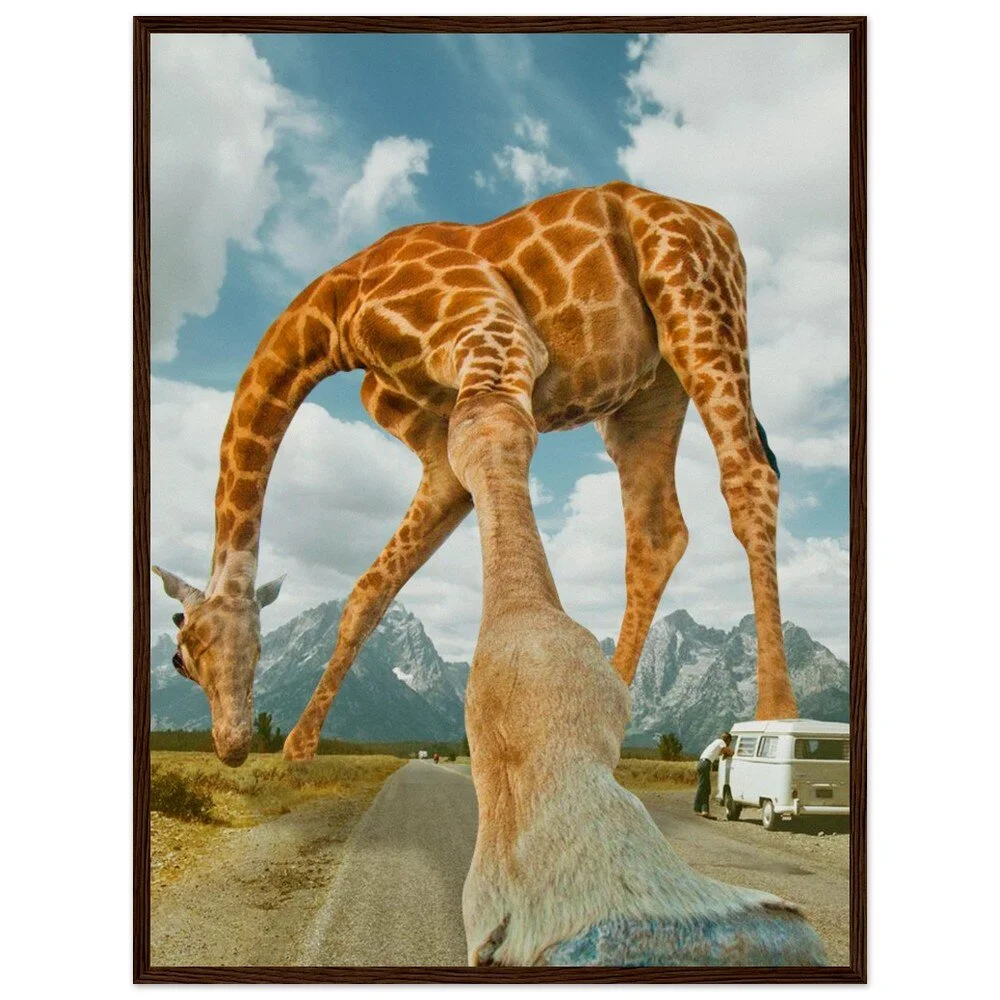 tmp-328-kLgcaQnxcpwl