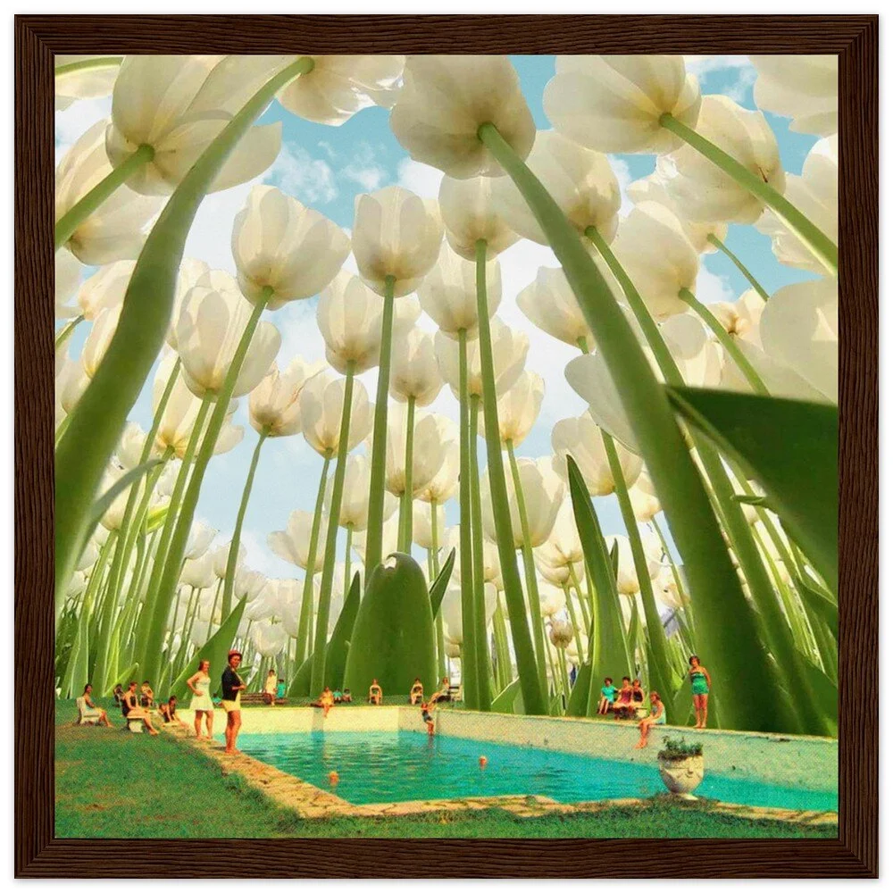 tmp-394-7Uoof8oVjmvo