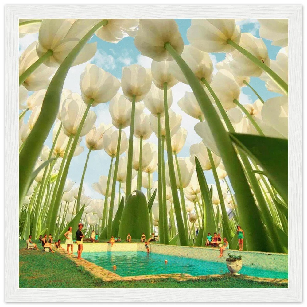 tmp-326-K0FnxepdxSa8