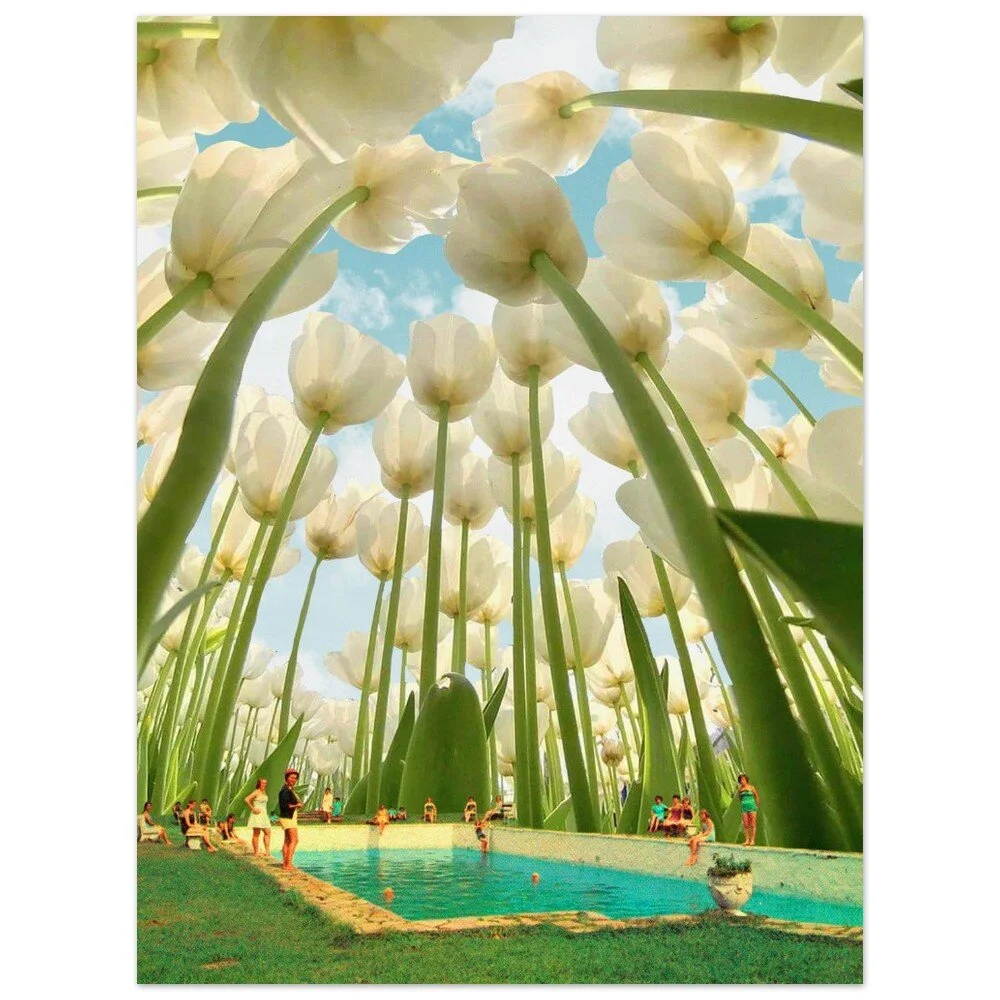 tmp-379-a8i1Ypv2yNYh