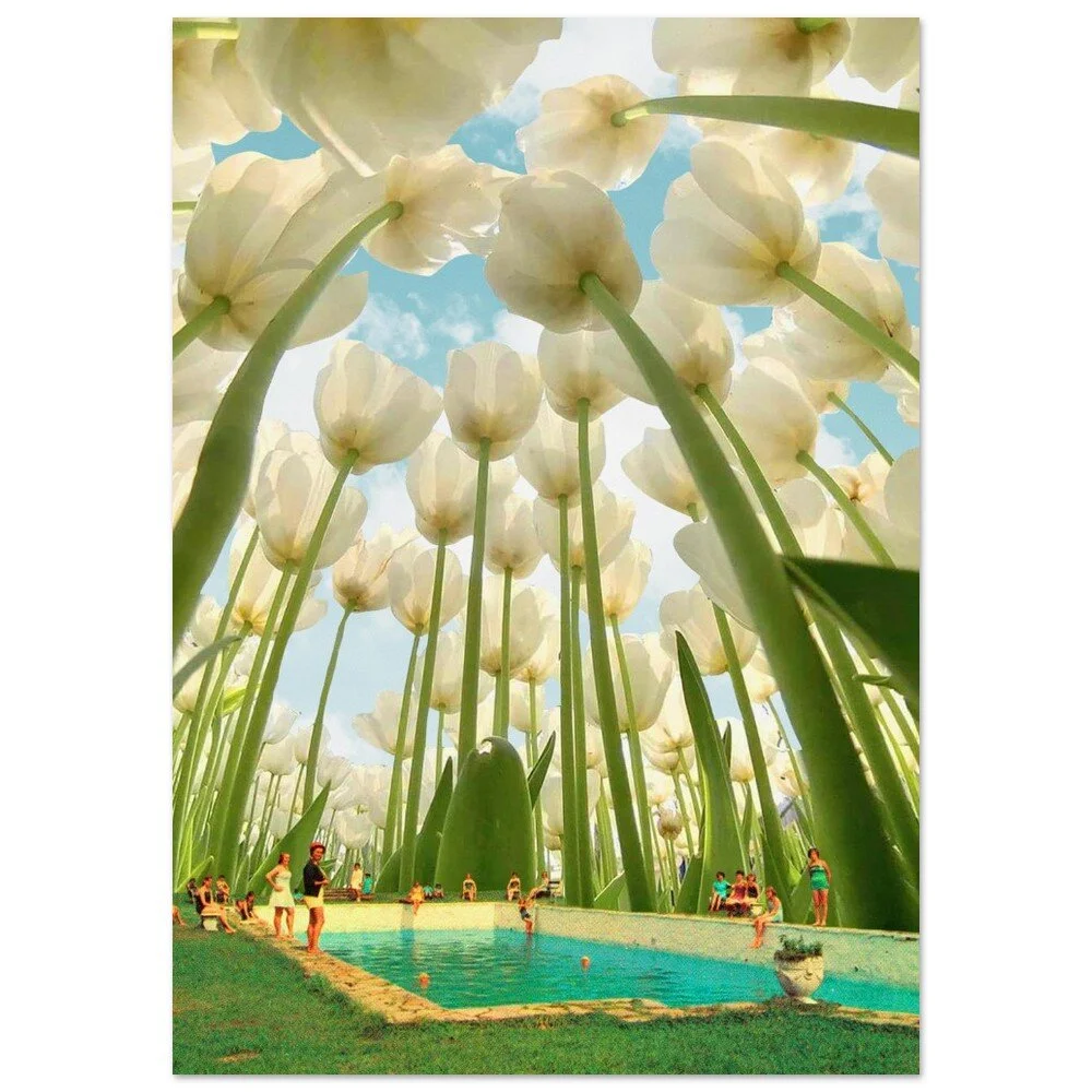 tmp-379-gJIrV6rVLMKZ