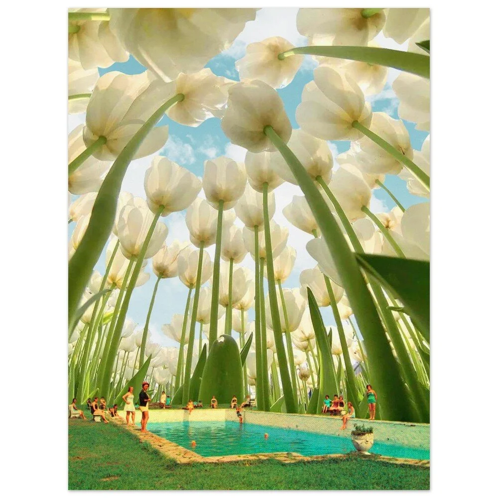 tmp-379-DpkY2naPH9fP