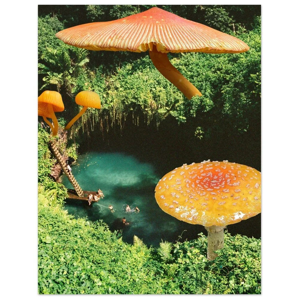 tmp-346-S82S8QRUQEQS