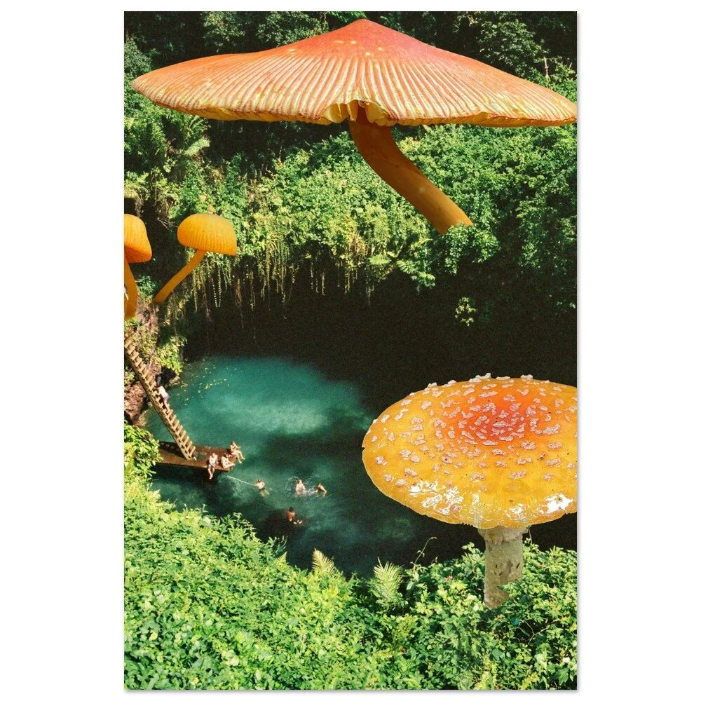 tmp-346-8X480p6iRCiZ