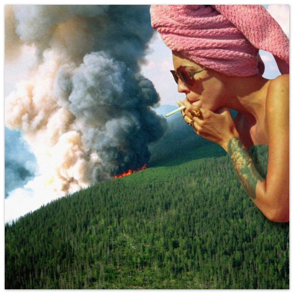 tmp-354-LEuL27ZCIzri