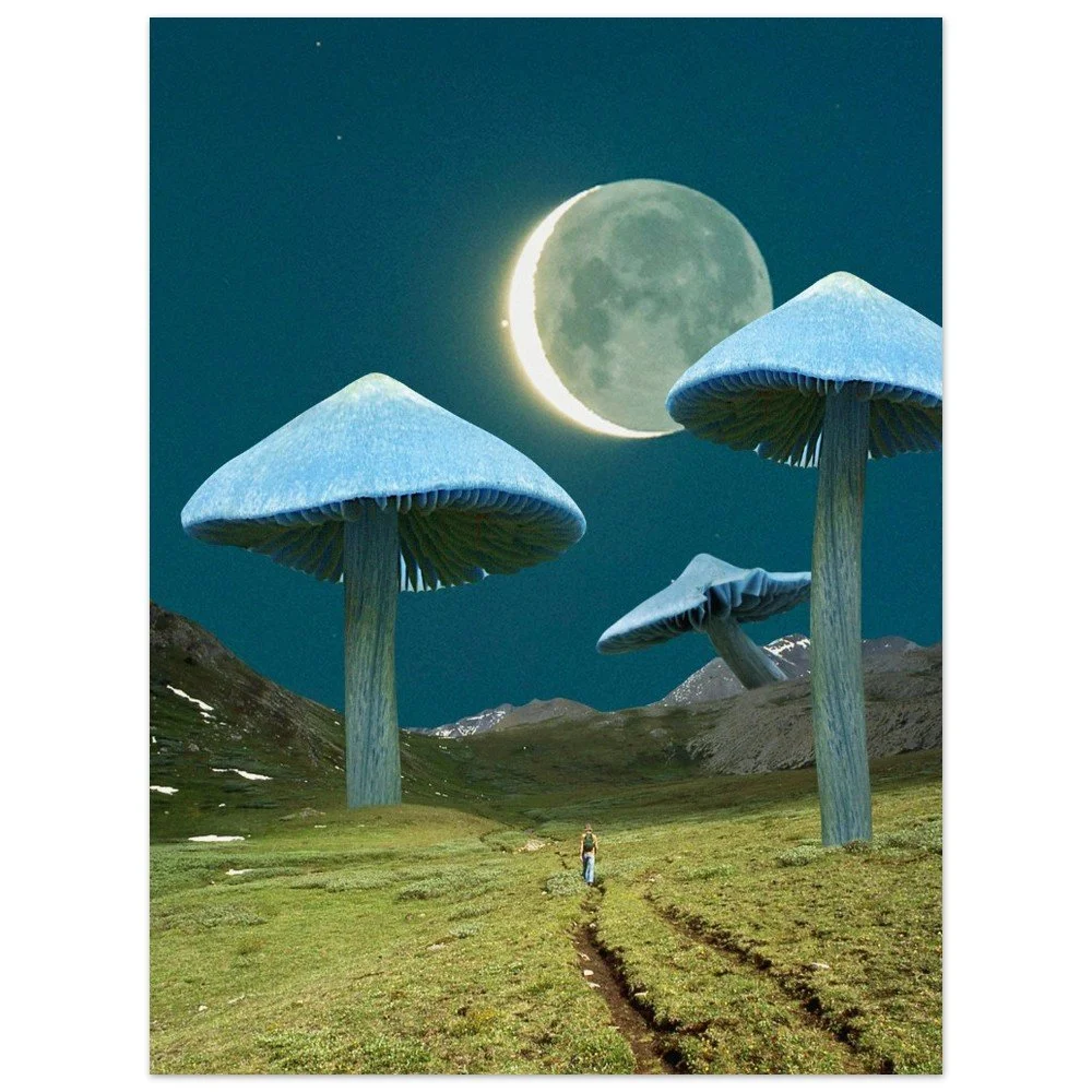 tmp-391-TQk6qDTTxxuH