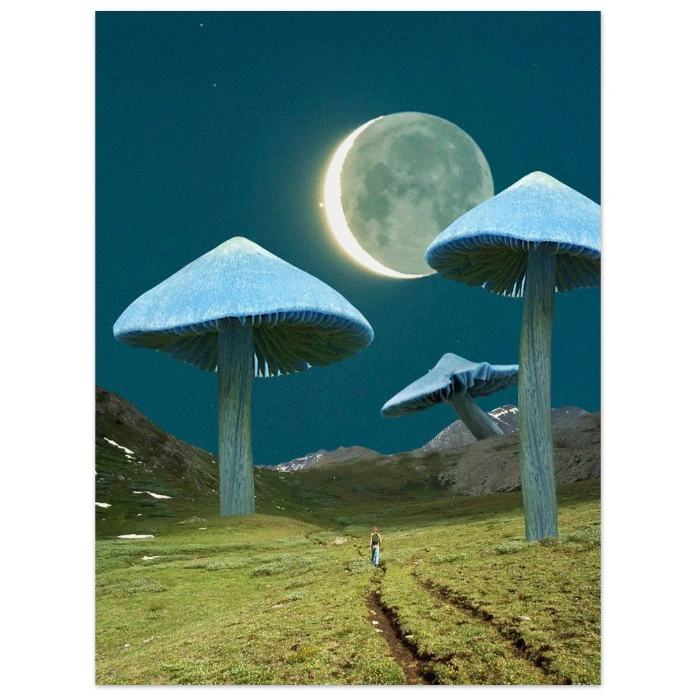 tmp-391-t4gyAk1IckQH