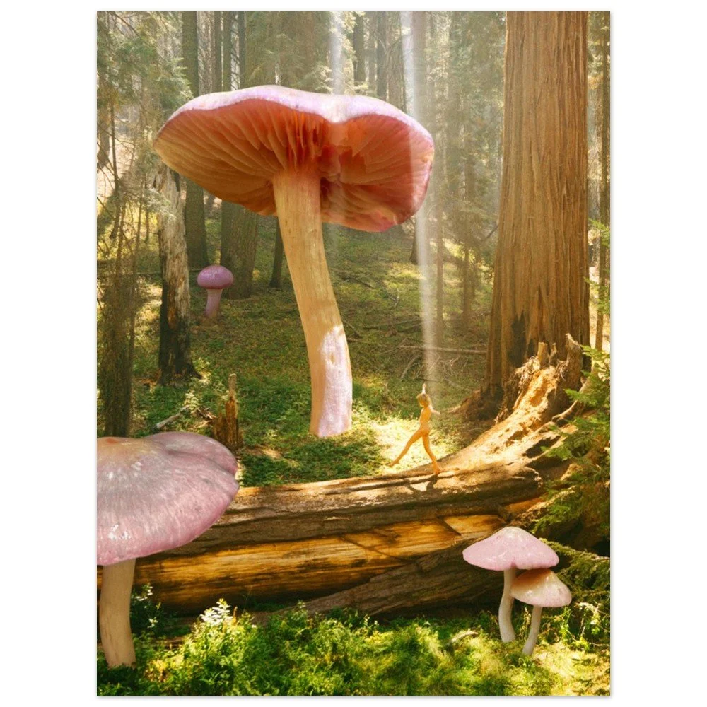 tmp-312-VbaNore8h52d