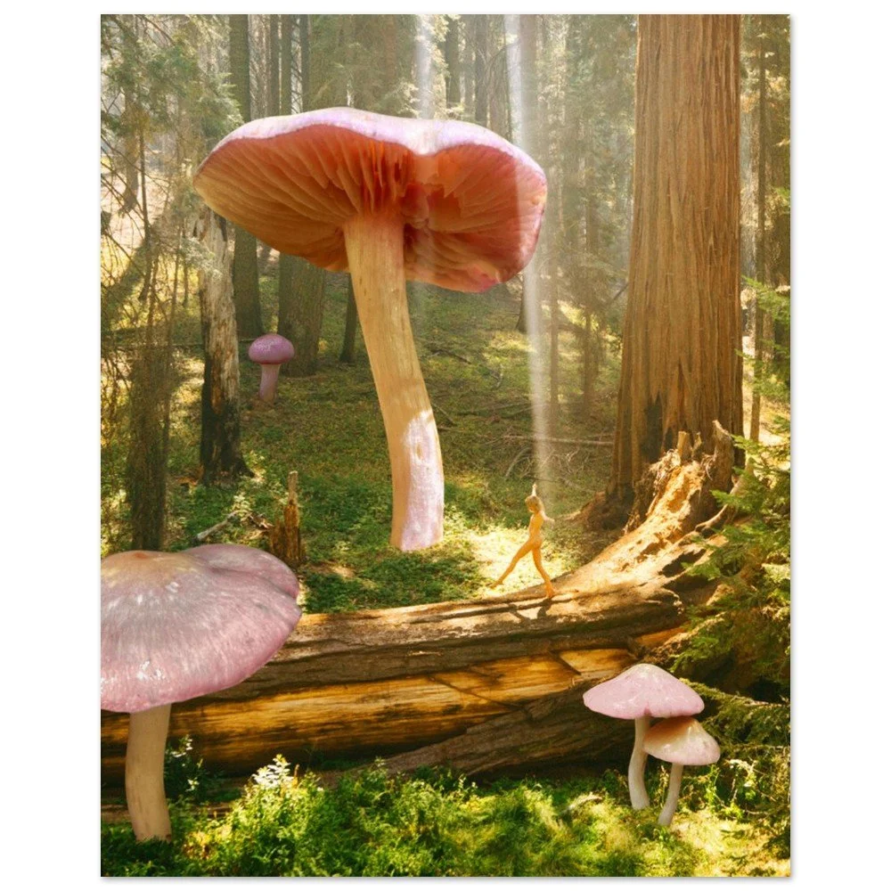 tmp-312-oRbk9k0Z4yro