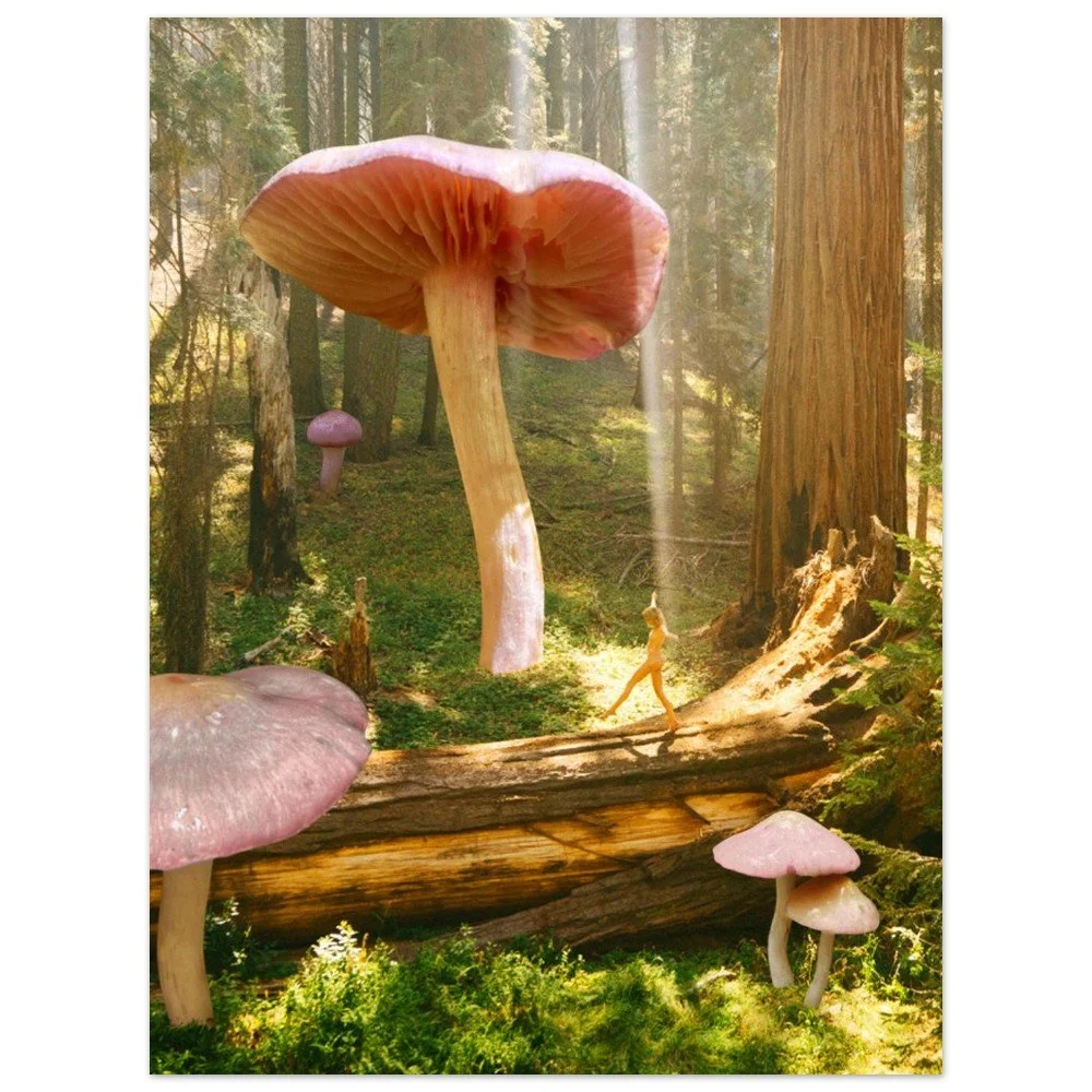 tmp-312-yFQbca57lksH