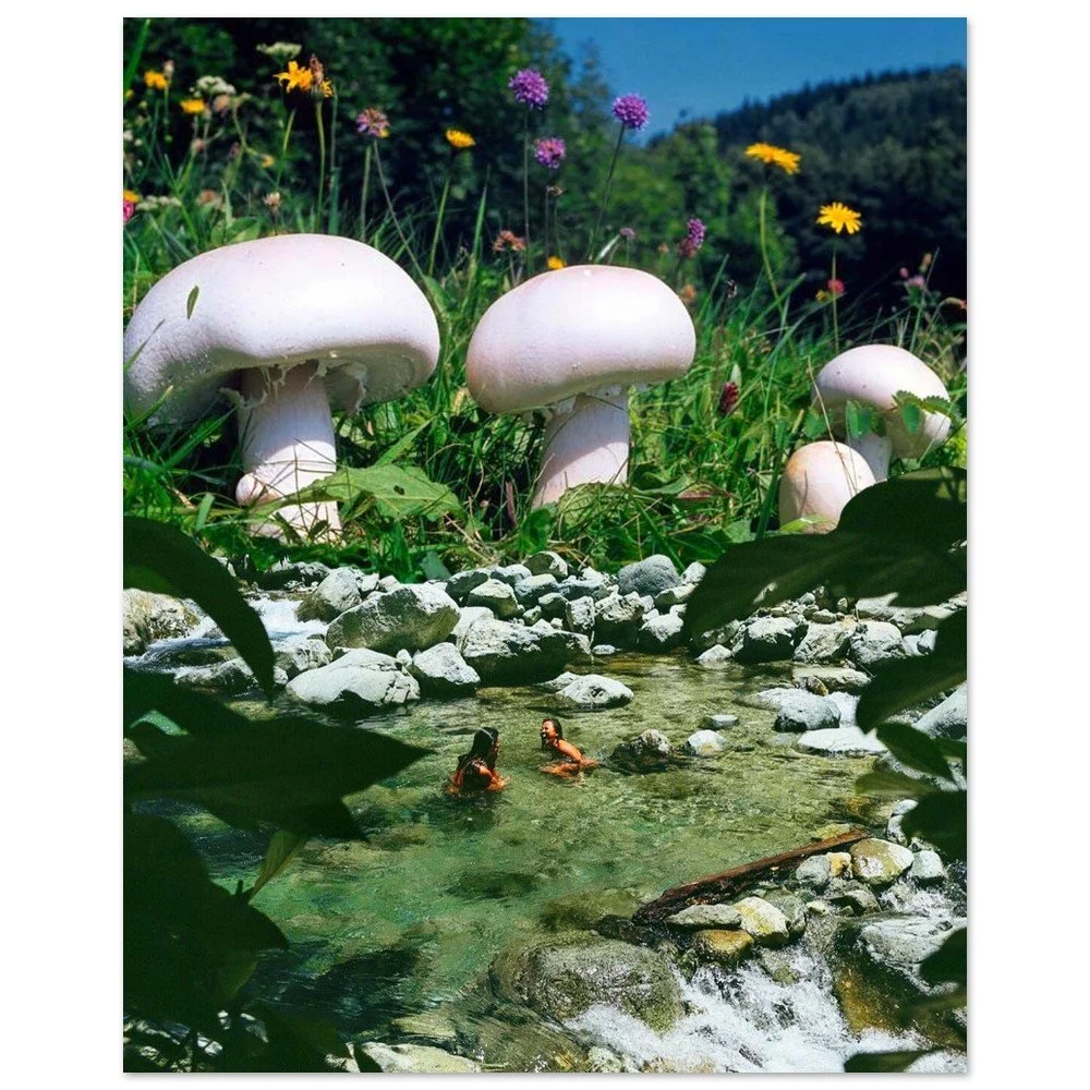 tmp-384-6bEr0N1hXEAO