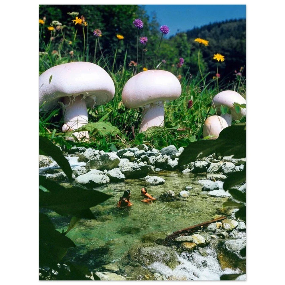 tmp-384-E3A0C9LaobGV