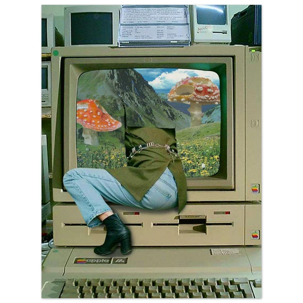 tmp-351-6GbyTJZplBXW