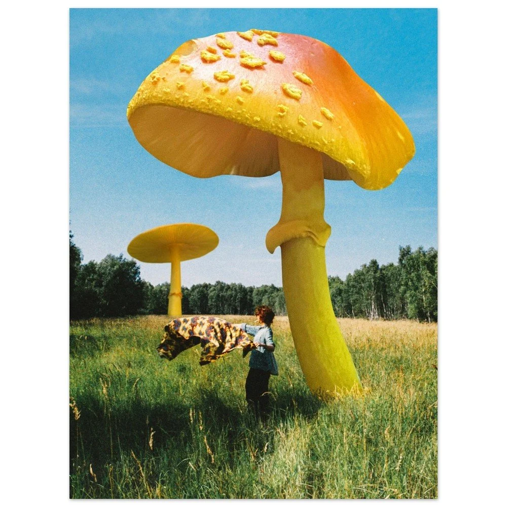 tmp-310-LdqtXns41JnY