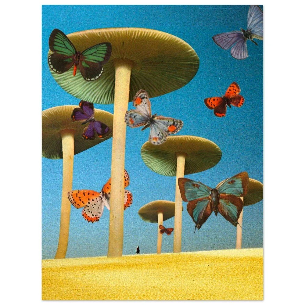 tmp-292-0LNOzSQSLShi