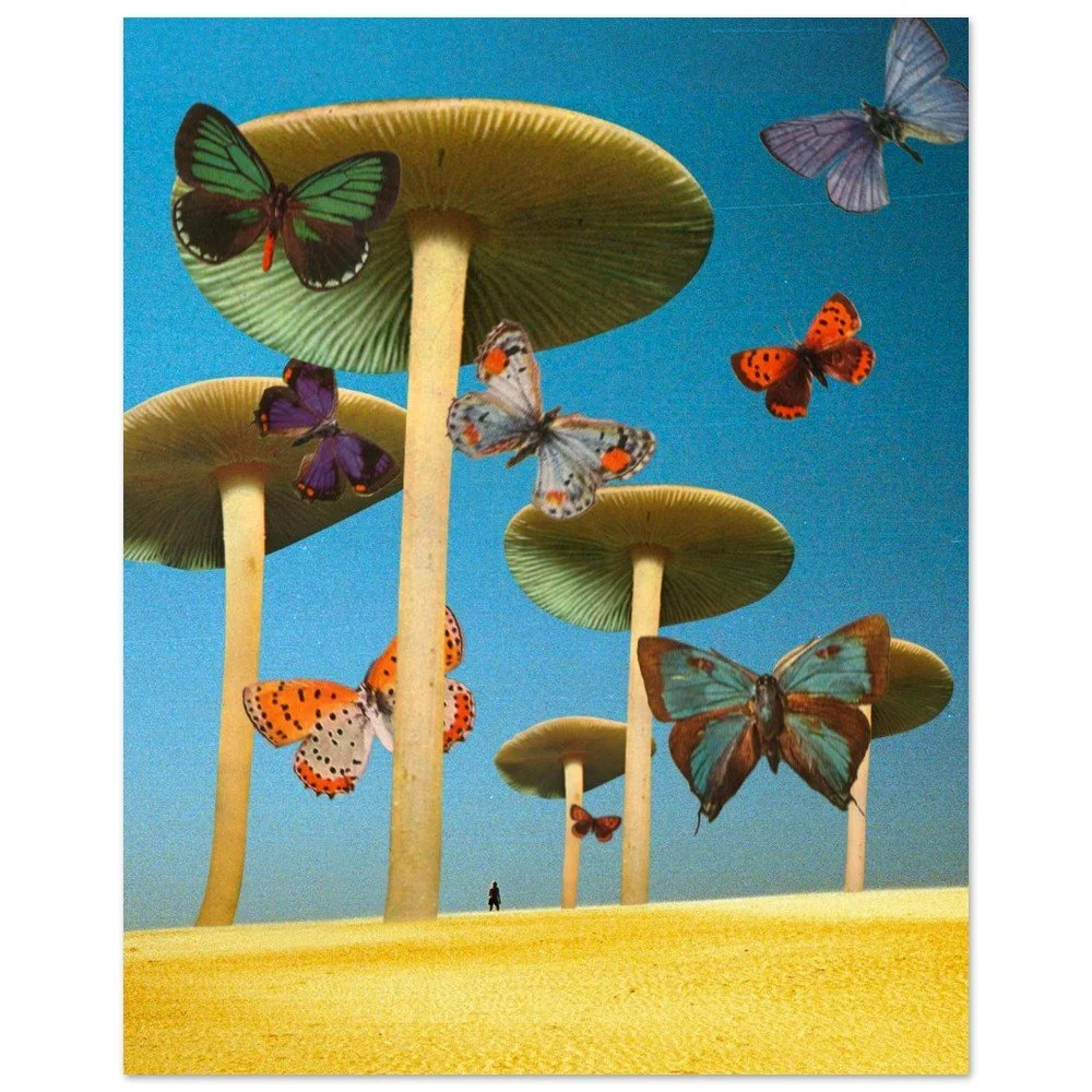 tmp-292-YPu3kaGV9l3x