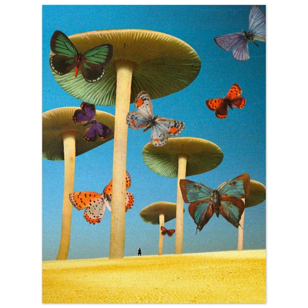 tmp-292-oTLaG2r63IOo