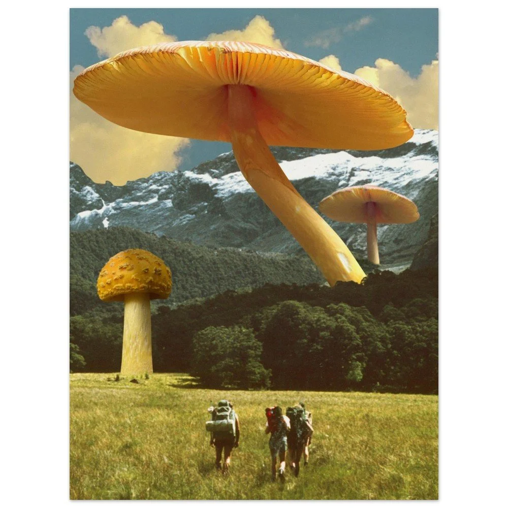 tmp-307-cKUmm31SlPQD