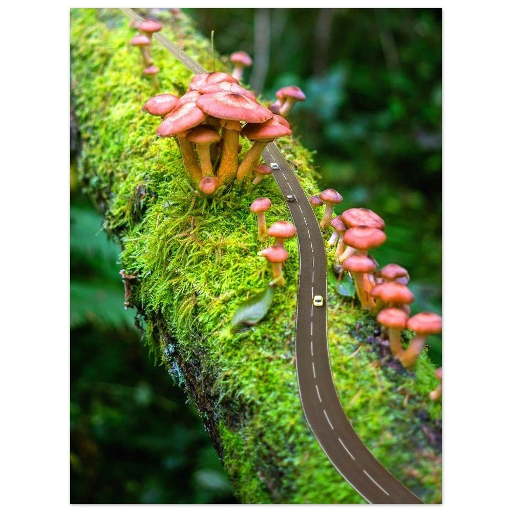 tmp-410-TXMGKiZKO2ON