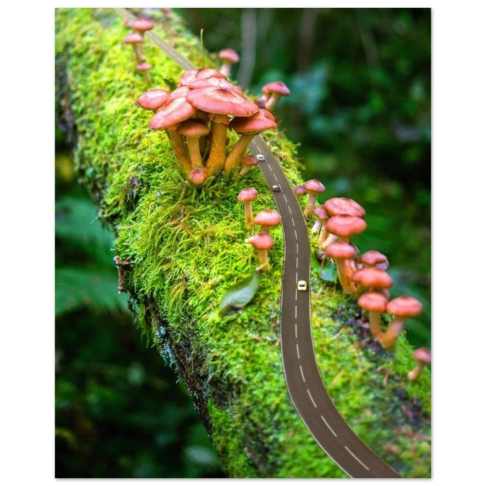 tmp-410-rIAD7mUVG0iH