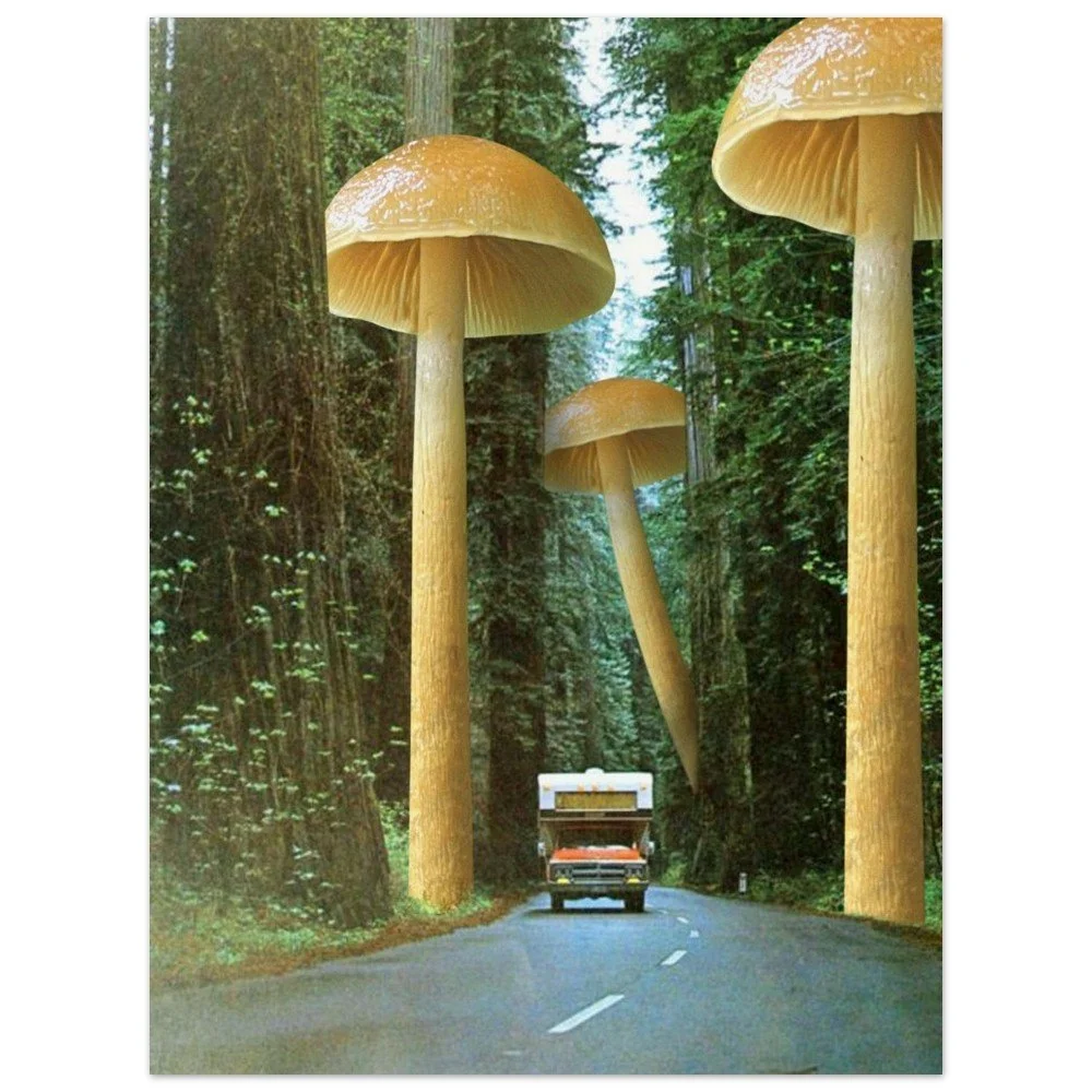 tmp-321-gf0fF01L7uDp