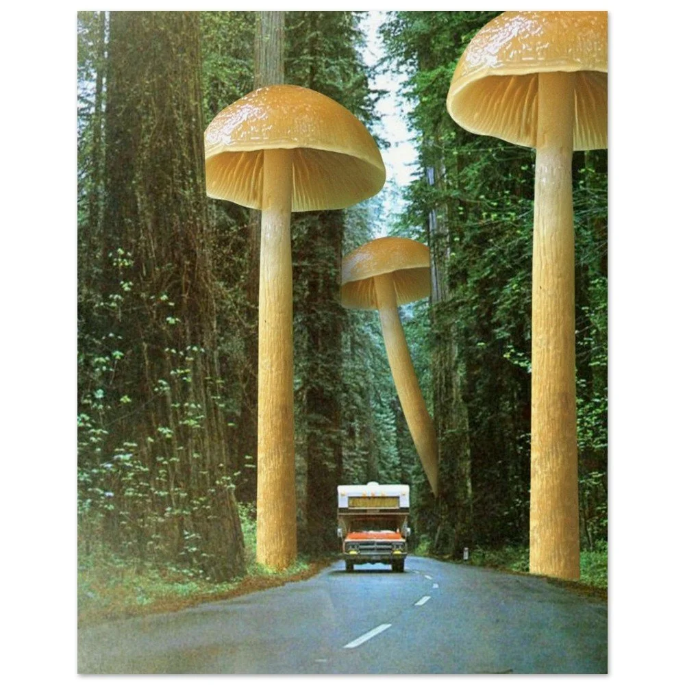 tmp-321-bFxIhxF65QI2