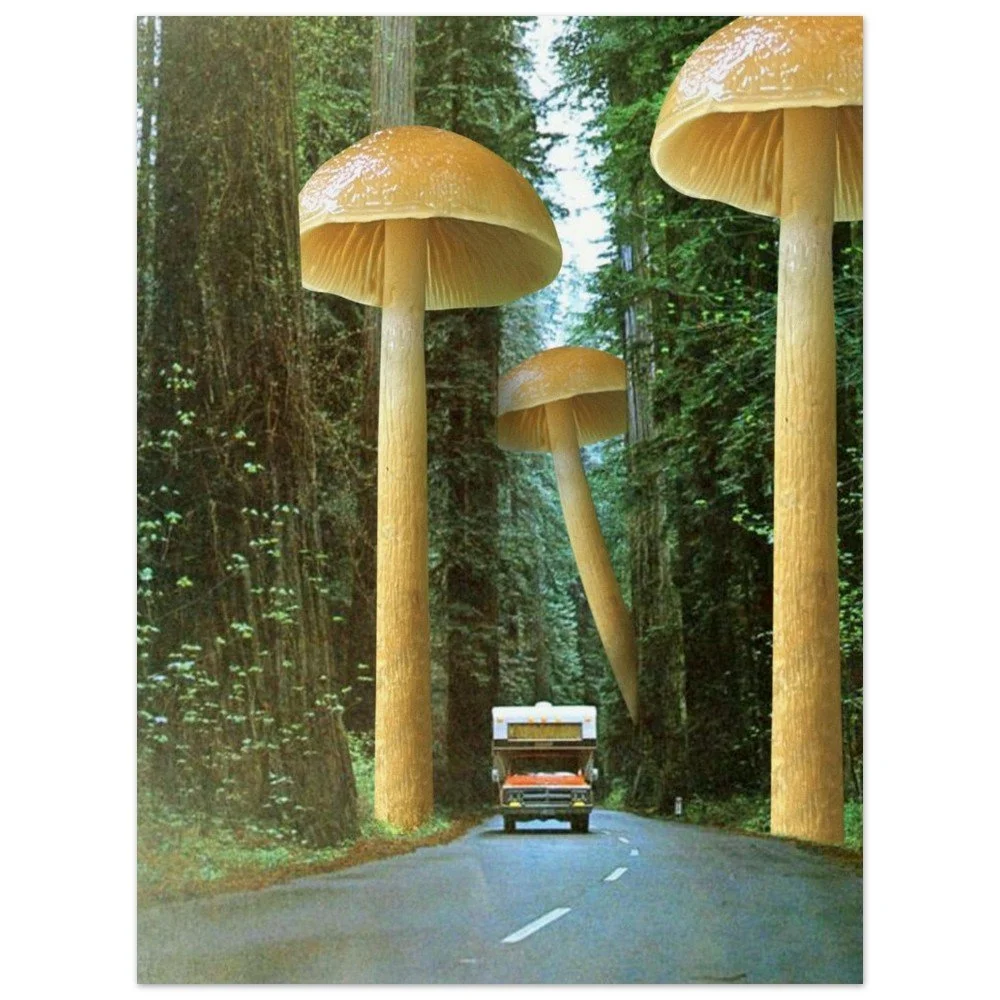 tmp-321-XsXglKmH0NB9