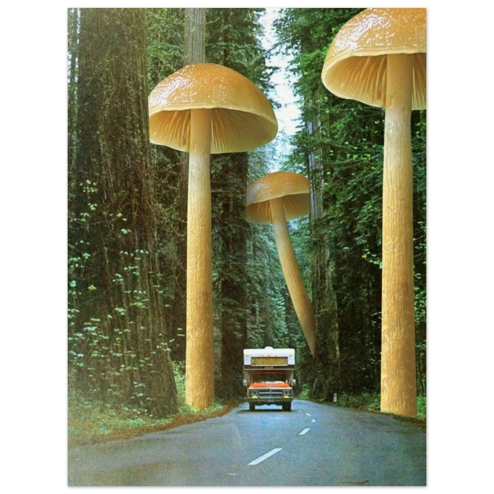 tmp-321-uFBk9GVGPEjL