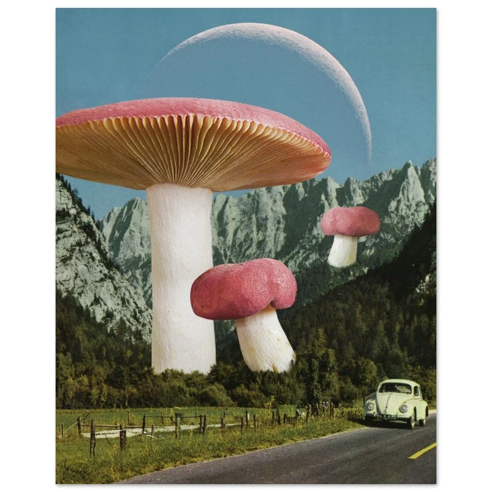 tmp-394-1t901FSzAn5X