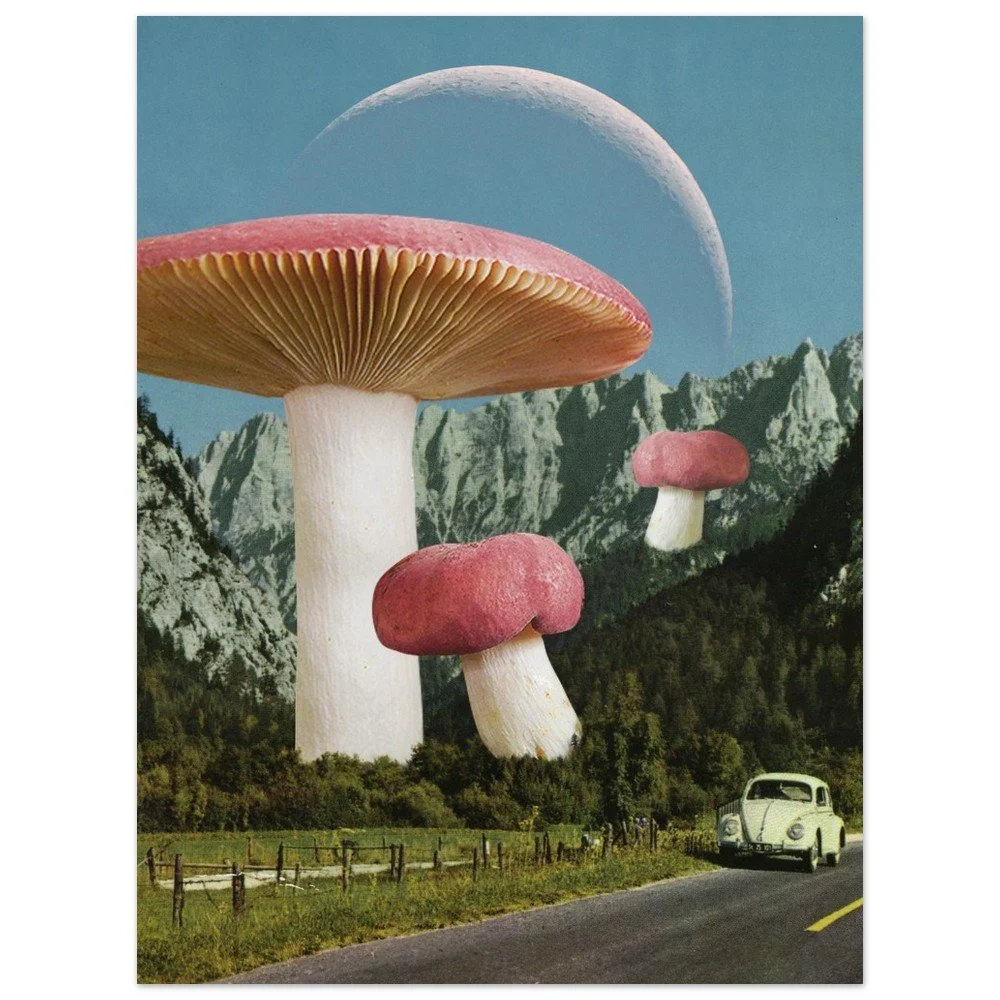 tmp-394-SWpEPaBlsFjB