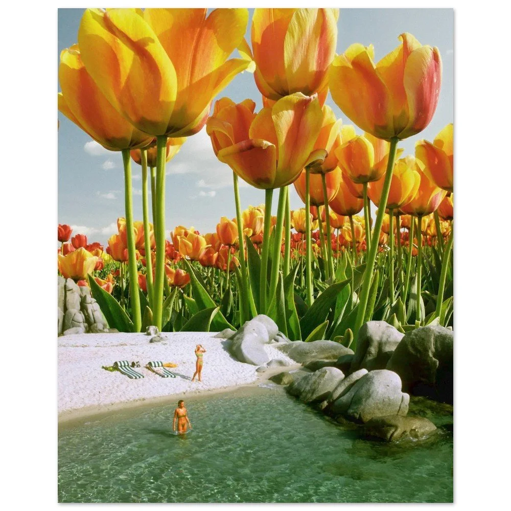 tmp-325-ZpeVuPeHpqKe