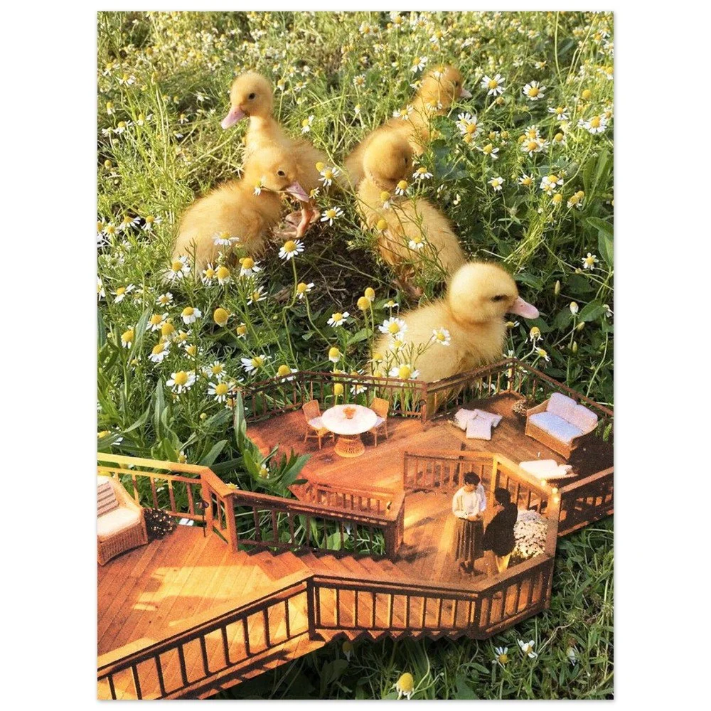 tmp-411-PBvudqlB2xdf