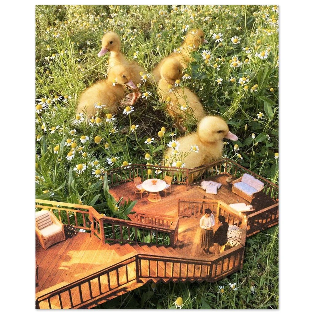 tmp-411-xRy7YVJjyX9I