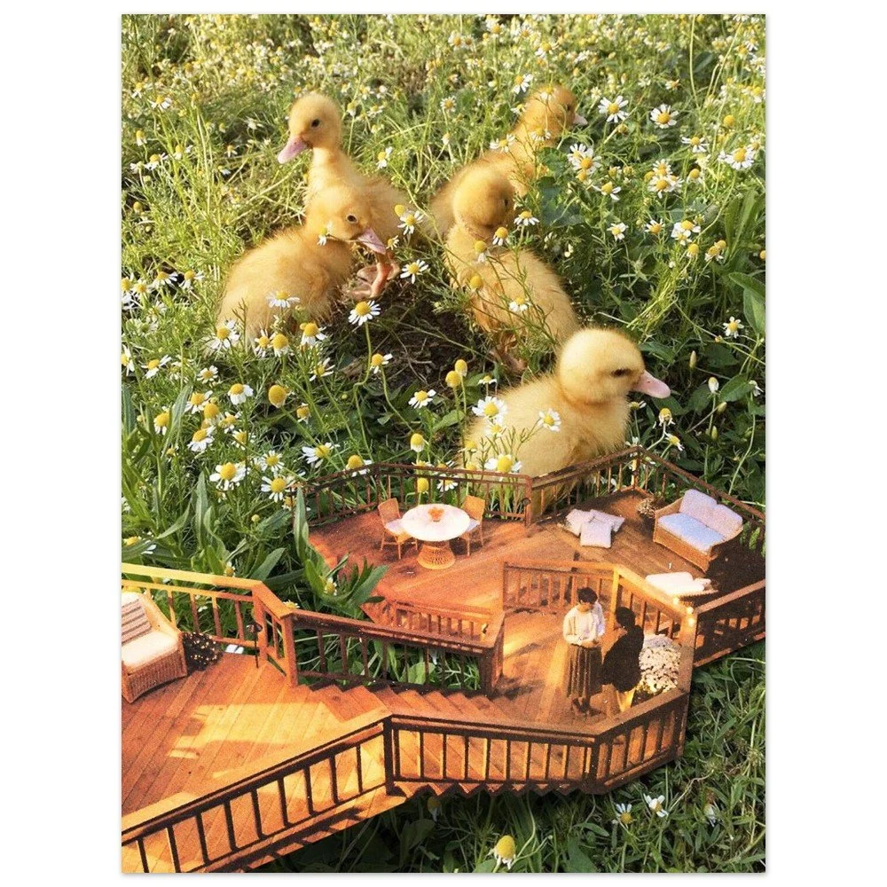 tmp-411-yJkZbMHFtPfF